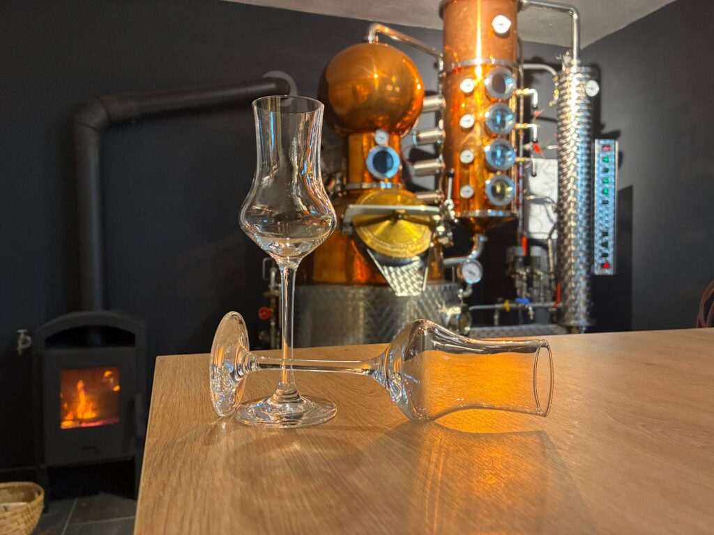 IMG-20251201-WA0010 IMG-20251201-WA0010